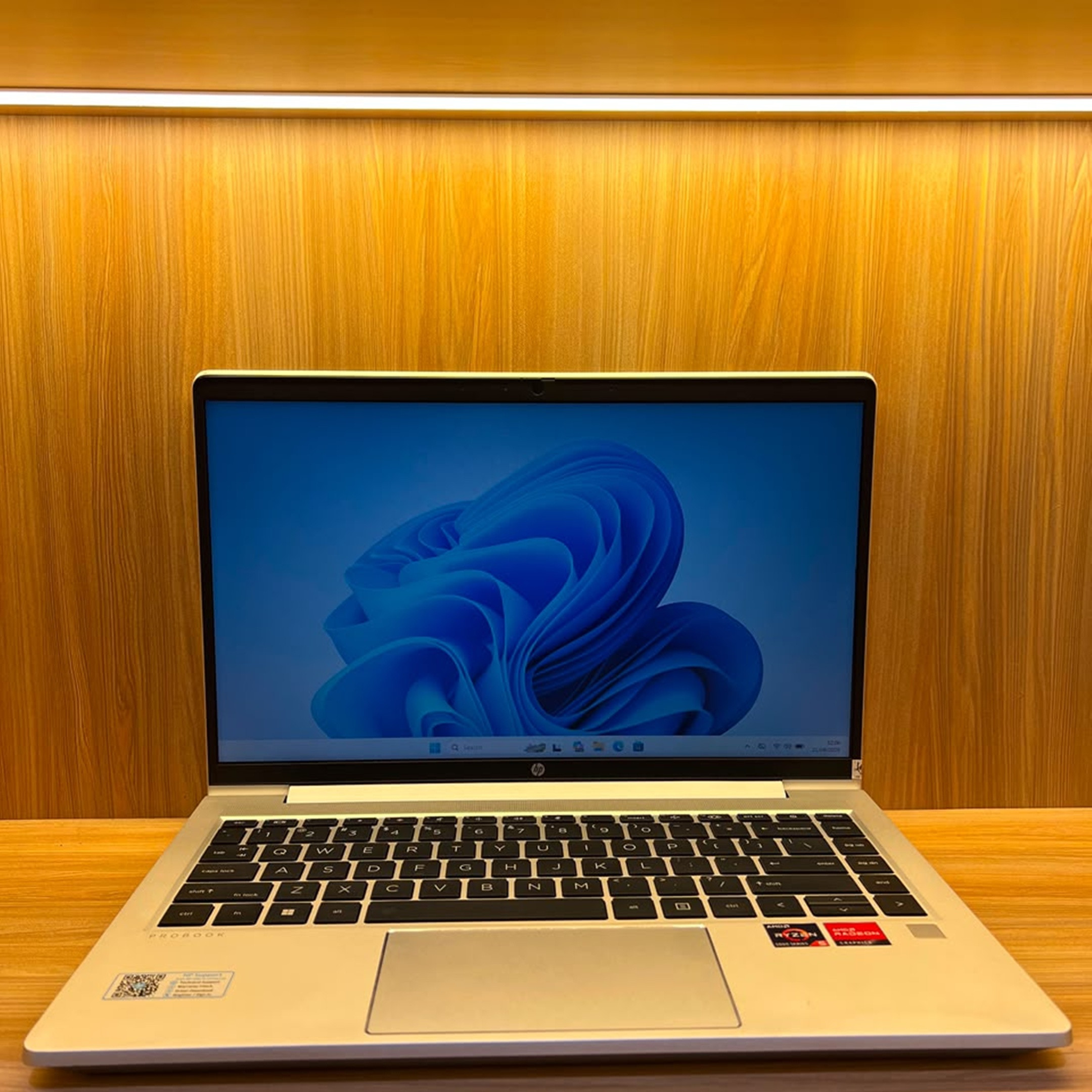 HP PROBOOK 445 G8 RYZEN 5 RAM 8 SSD 